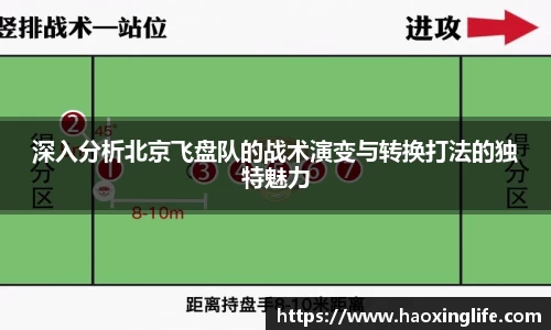 深入分析北京飞盘队的战术演变与转换打法的独特魅力